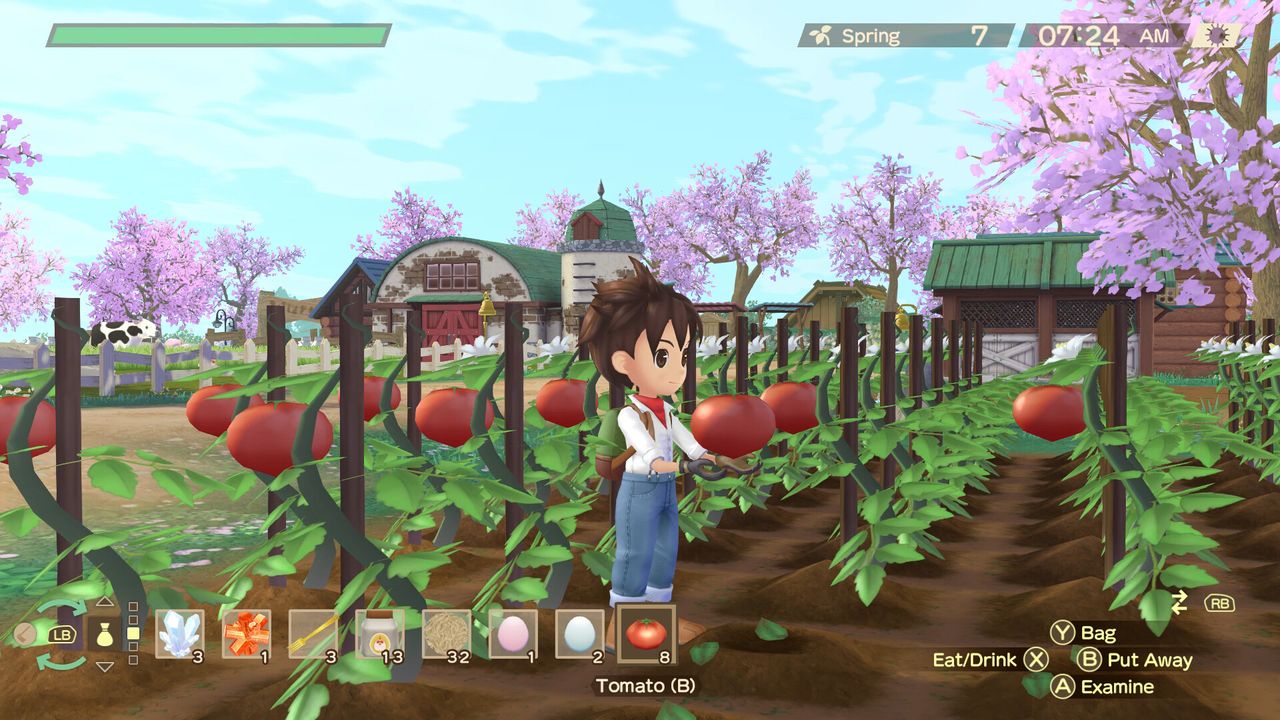 STORY OF SEASONS: A Wonderful Life | PC Steam ゲーム | Fanatical